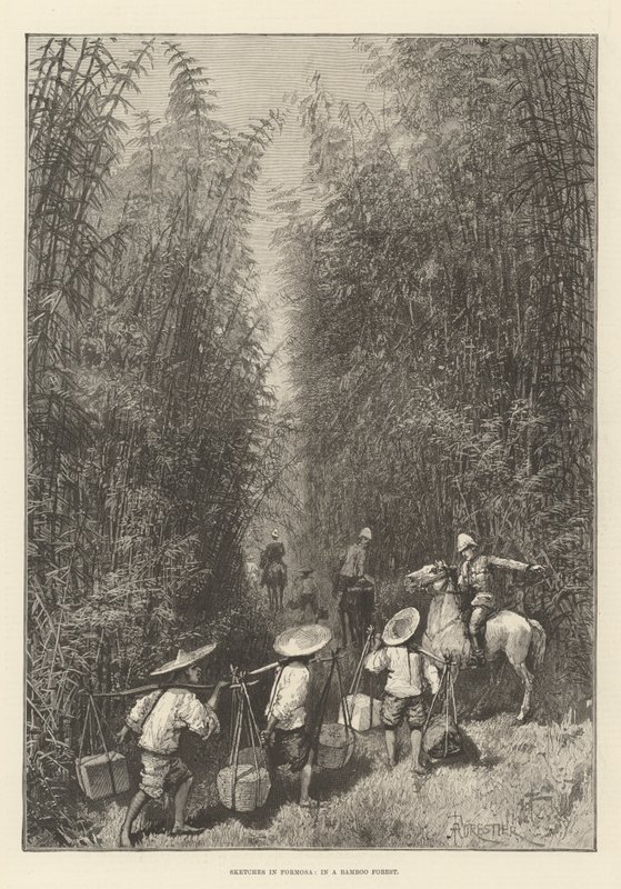 Schizzi a Formosa, in una foresta di bambù da Amedee Forestier