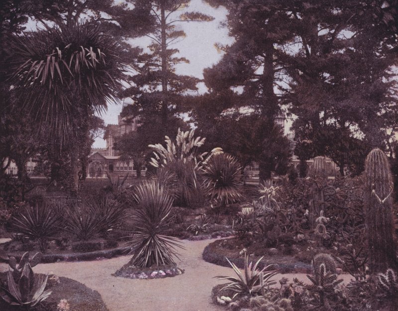 Un giardino di cactus della California del Sud da American Photographer (after)