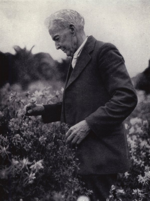 Luther Burbank tra i suoi fiori da American Photographer (after)