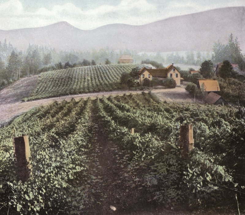 Oregon: Agricoltura diversificata nella Willamette Valley da American Photographer (after)