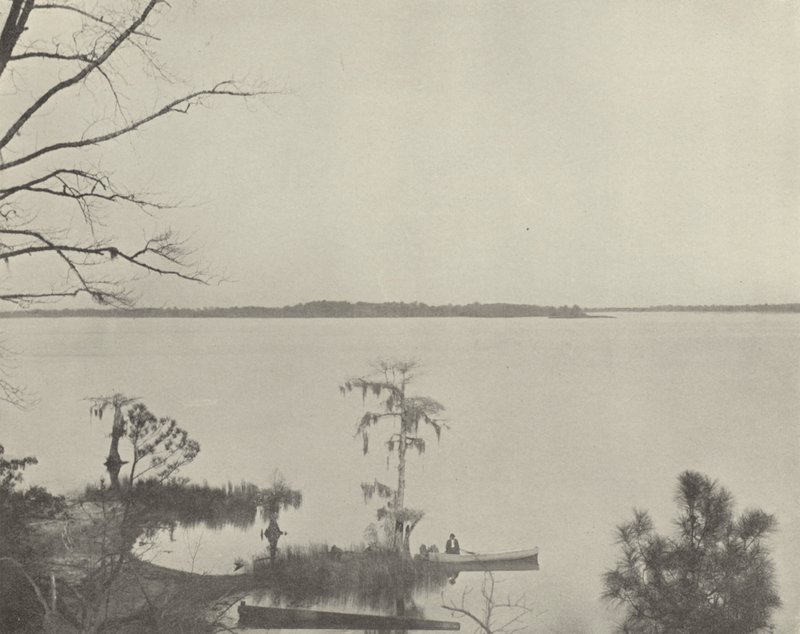 Fiume Pamlico, Carolina del Nord da American Photographer (after)
