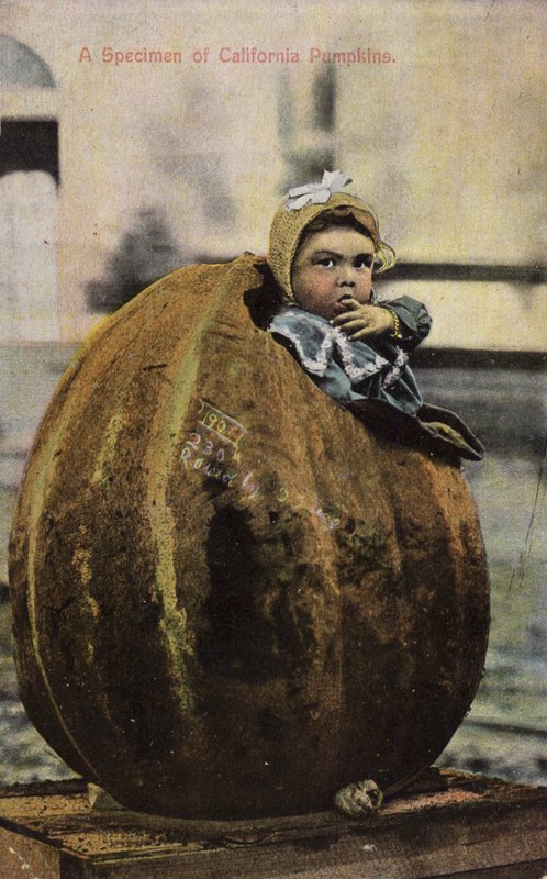 Un esemplare di zucche della California da American Photographer