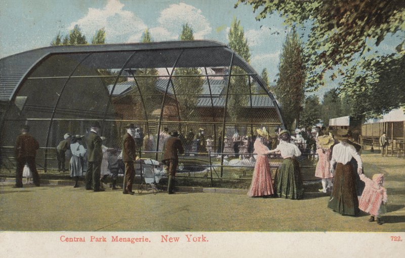 Central Park Menagerie, New York (foto) da American Photographer