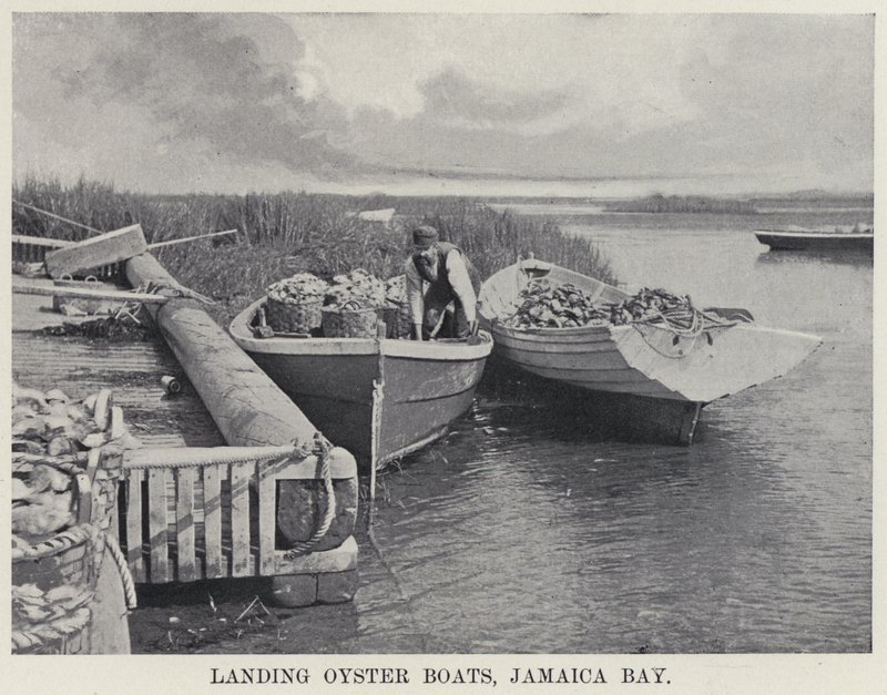 Sbarco delle barche di ostriche, Jamaica Bay da American Photographer