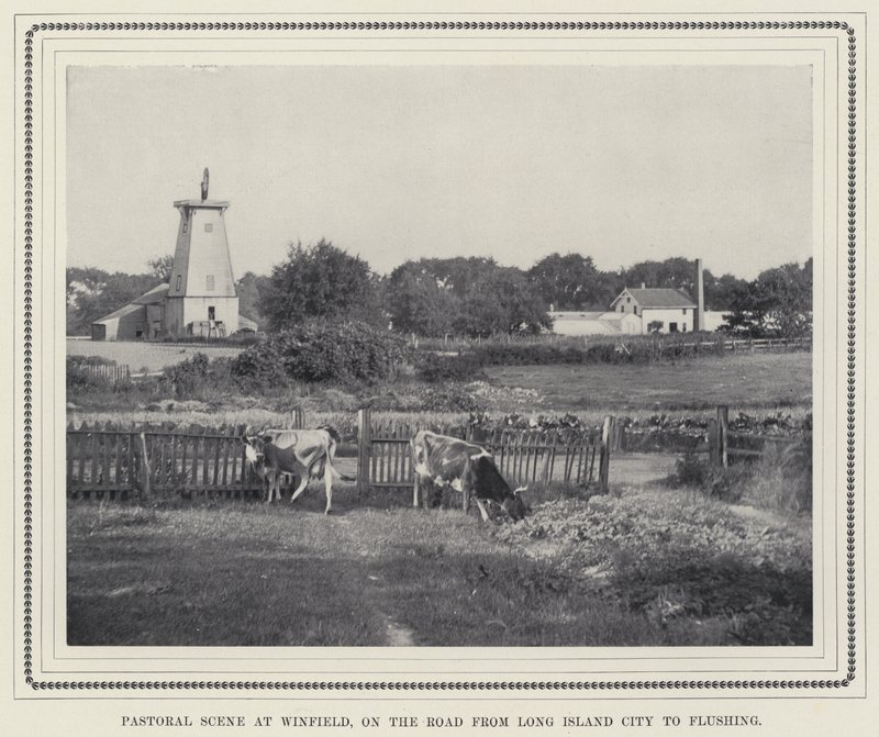 Scena pastorale a Winfield, sulla strada da Long Island City a Flushing da American Photographer