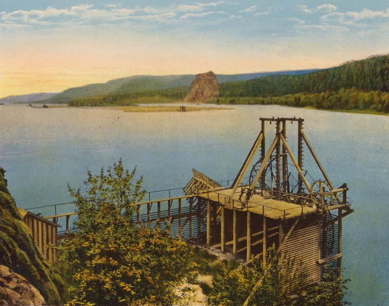 Ruota dei salmoni sul fiume Columbia (foto a colori) da American Photographer