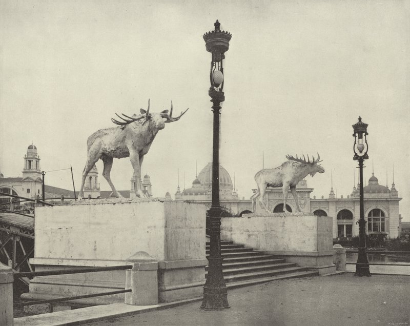 Il ponte dell