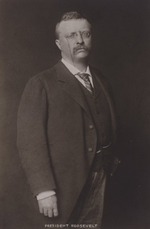 Theodore Roosevelt, 26° Presidente degli Stati Uniti, 1904 da American Photographer