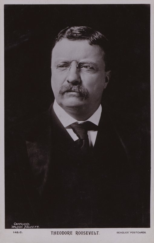 Theodore Roosevelt, politico americano e 26° presidente degli Stati Uniti (foto b/n) da American Photographer