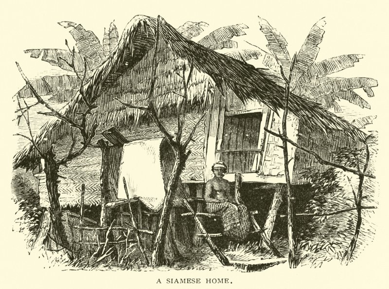 Una casa siamese da American School