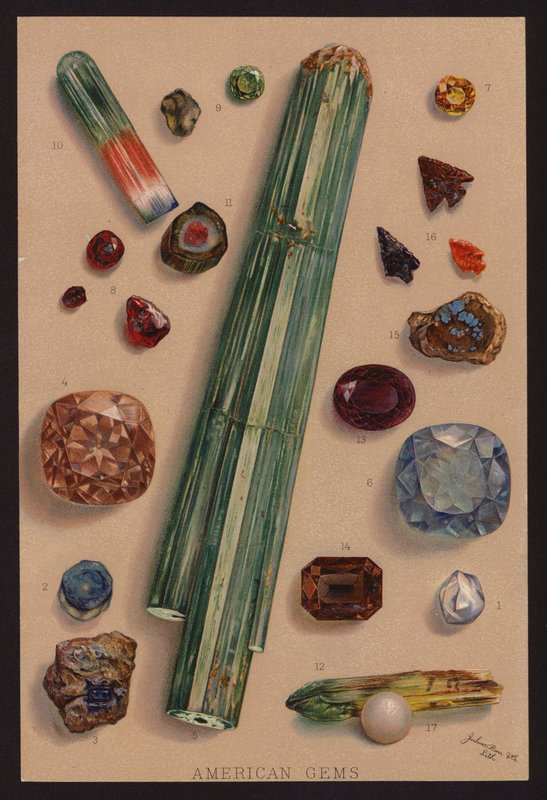 Gemme americane (litografia a colori) da American School