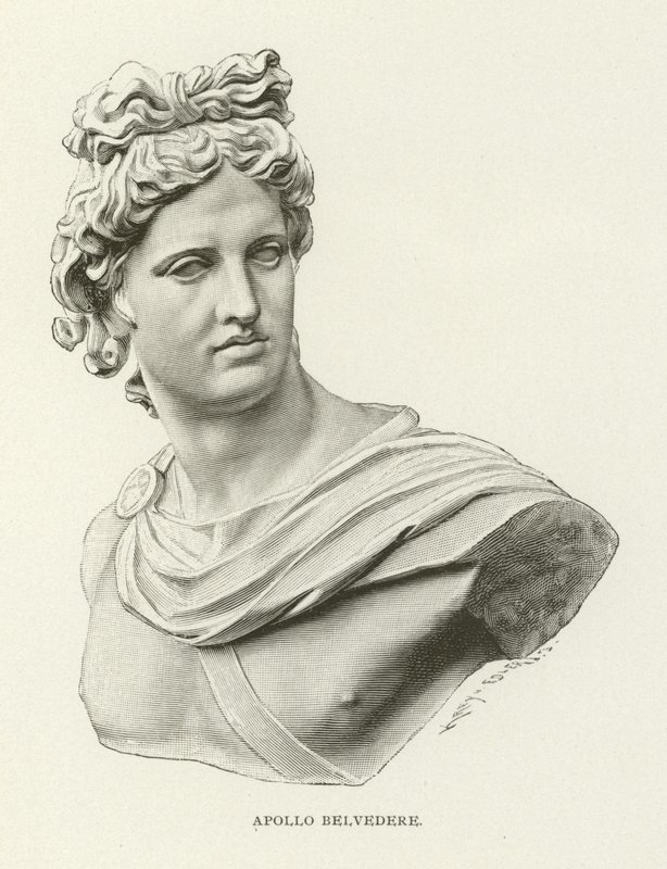 Apollo del Belvedere da American School
