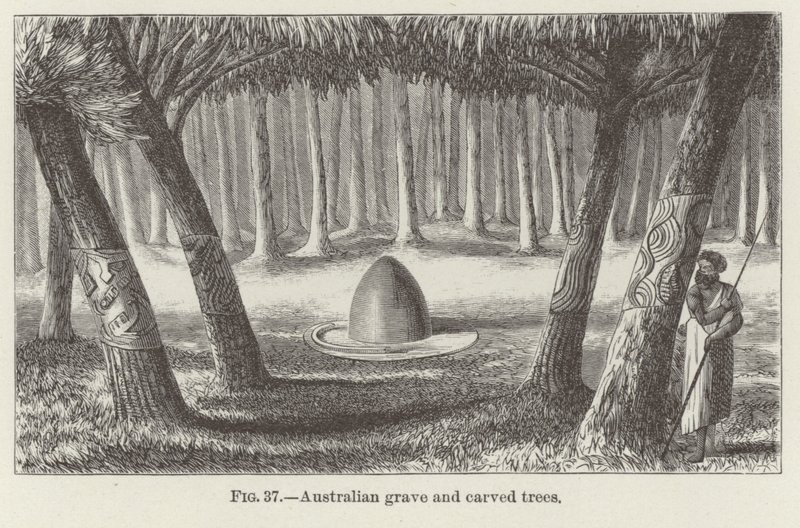 Tomba australiana e alberi scolpiti da American School
