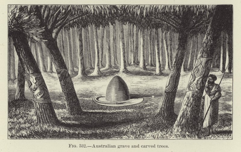 Tomba australiana e alberi scolpiti da American School