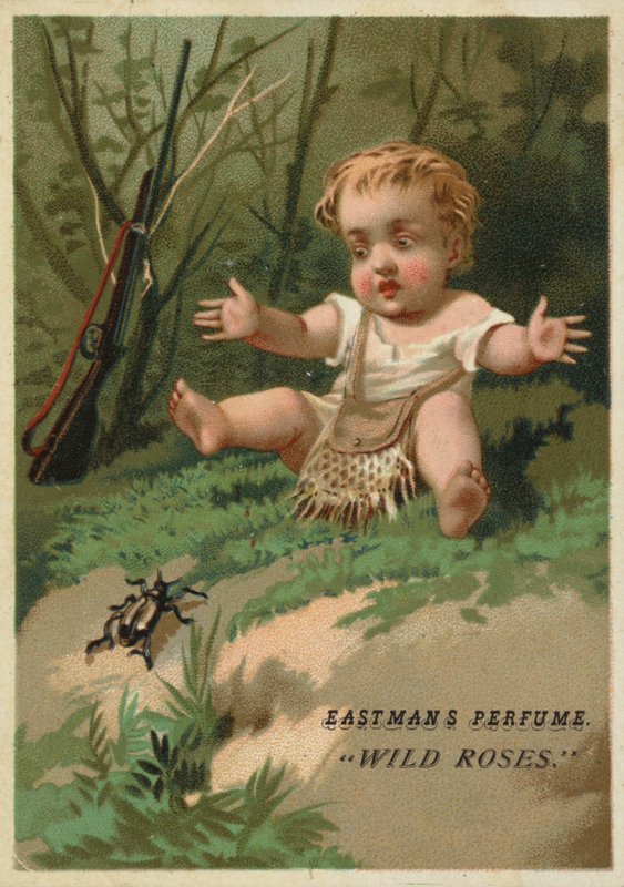 Bambino nel bosco da American School