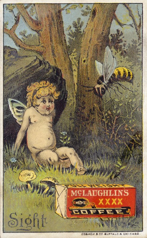 Ape che attacca un putto da American School
