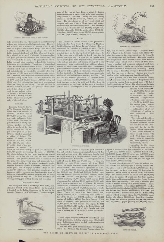 Mostra del baco da seta brasiliano nella Machinery Hall, Centennial Exposition, Philadelphia, Pennsylvania, USA da American School