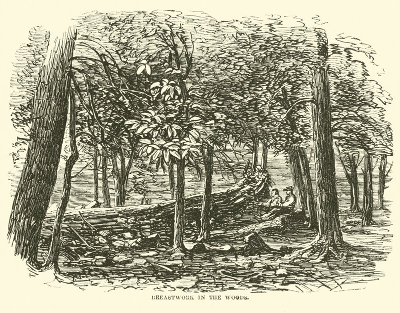 Trincea nel bosco, luglio 1863 da American School