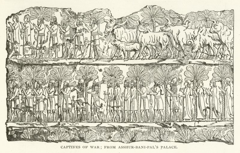 Prigionieri di Guerra; dal Palazzo di Asshur-bani-pal da American School