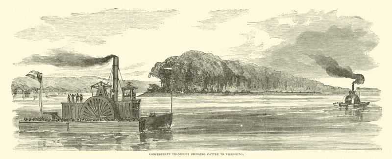 Trasporto confederato che porta bestiame a Vicksburg, febbraio 1863 da American School