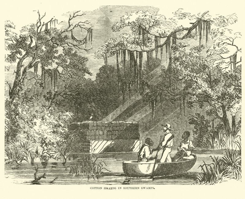 Scorte di cotone nelle paludi del sud, luglio 1862 da American School