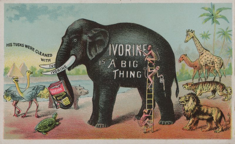 Elefante che pubblicizza il sapone Ivorine da American School