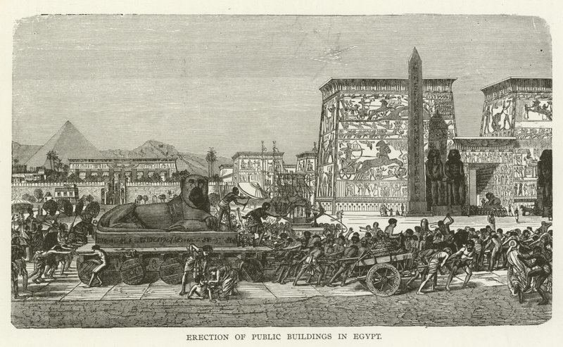 Costruzione di edifici pubblici in Egitto da American School