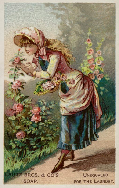 Ragazza che annusa le rose da American School