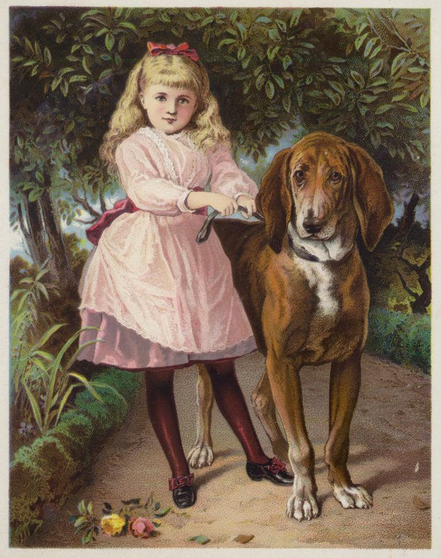 Ragazza con Bloodhound al guinzaglio da American School