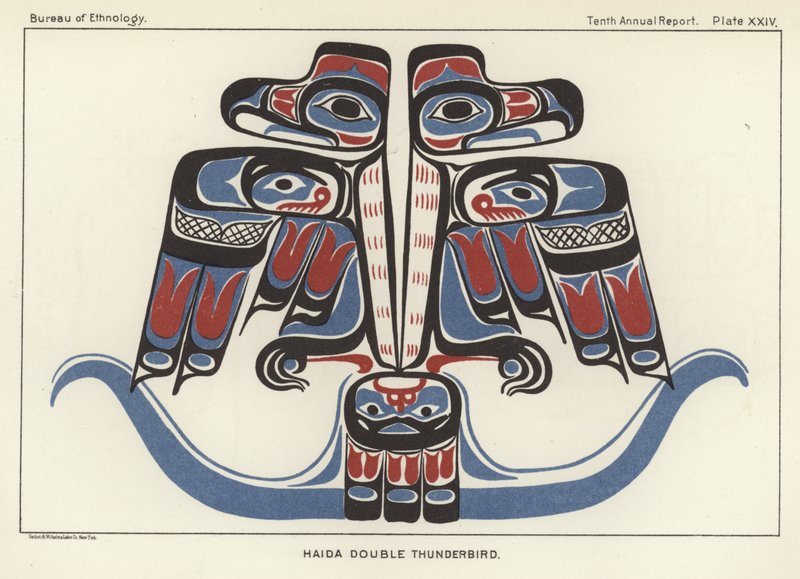 Doppio tuono Haida da American School