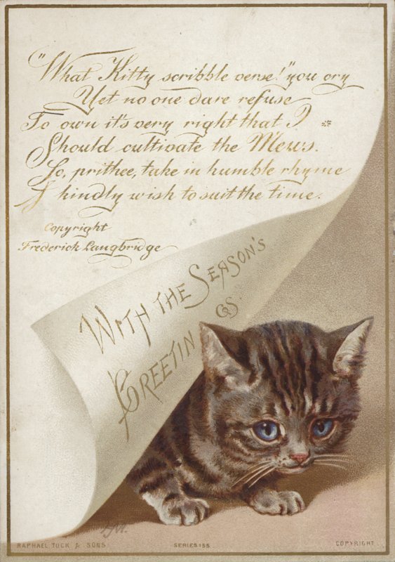 Gattino nascosto sotto una lettera da American School