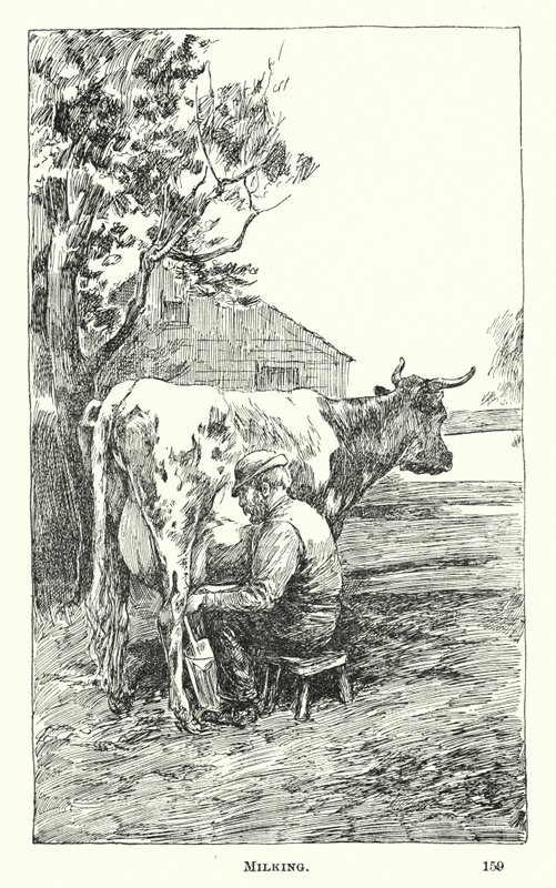 Mungitura (incisione) da American School