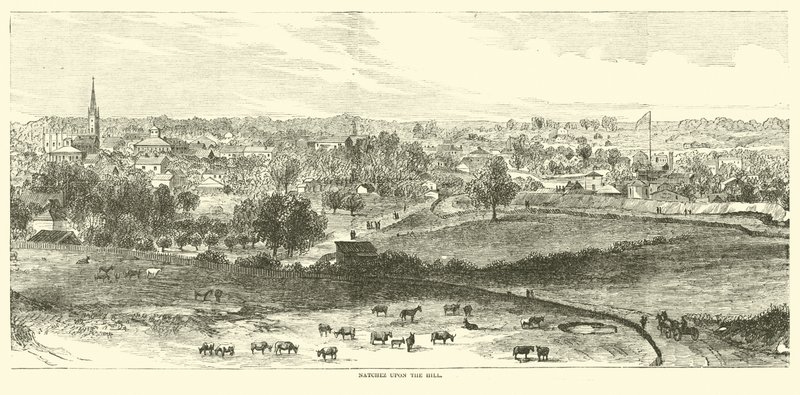 Natchez sulla collina, maggio 1862 da American School