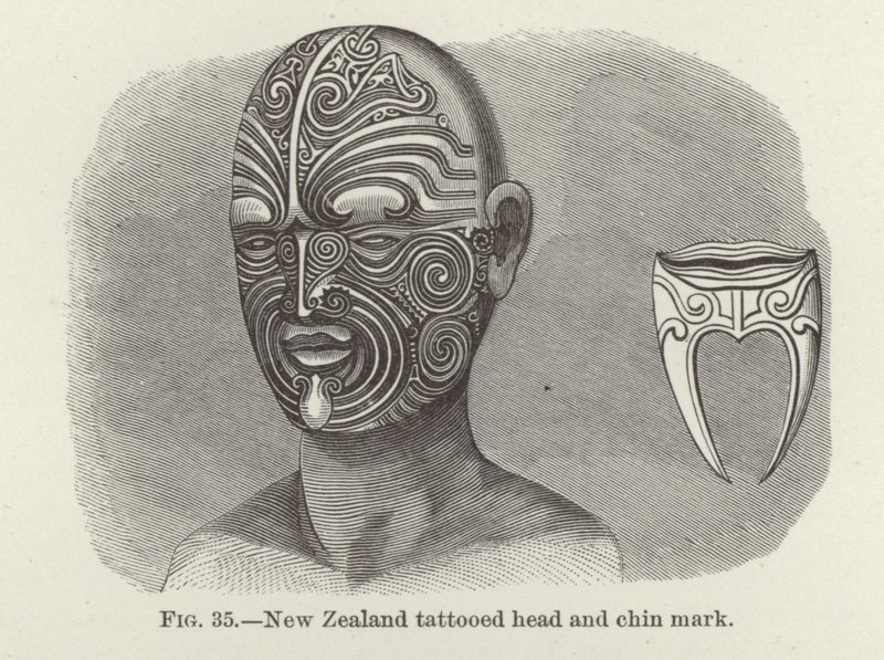 Testa tatuata della Nuova Zelanda e segno sul mento da American School