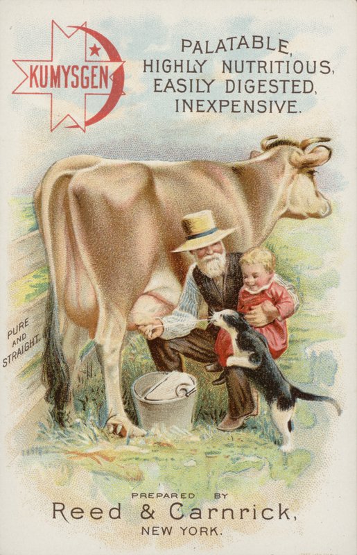 Vecchio che munge una mucca, con bambino e gatto da American School