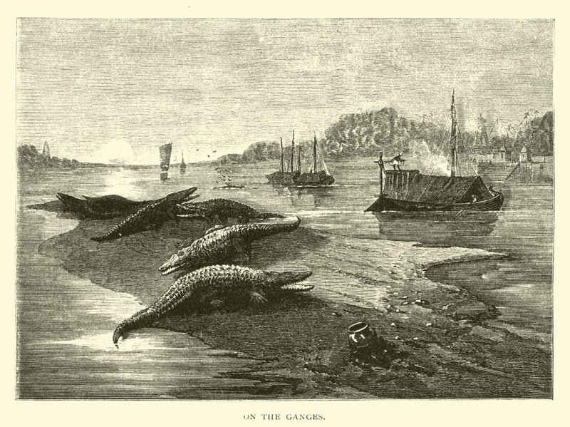Sul Gange da American School