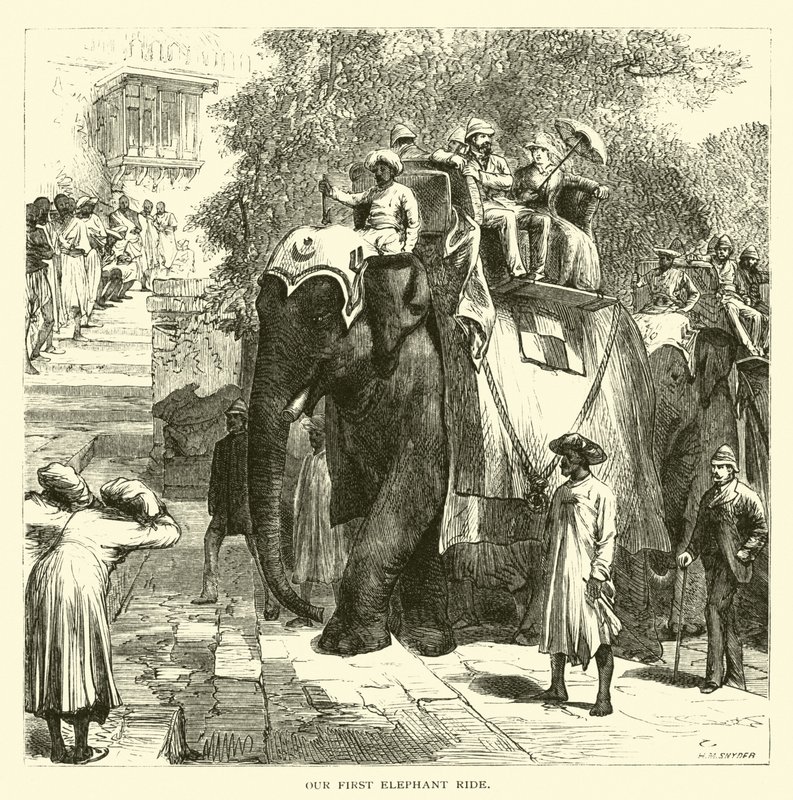 Il nostro primo giro in elefante da American School