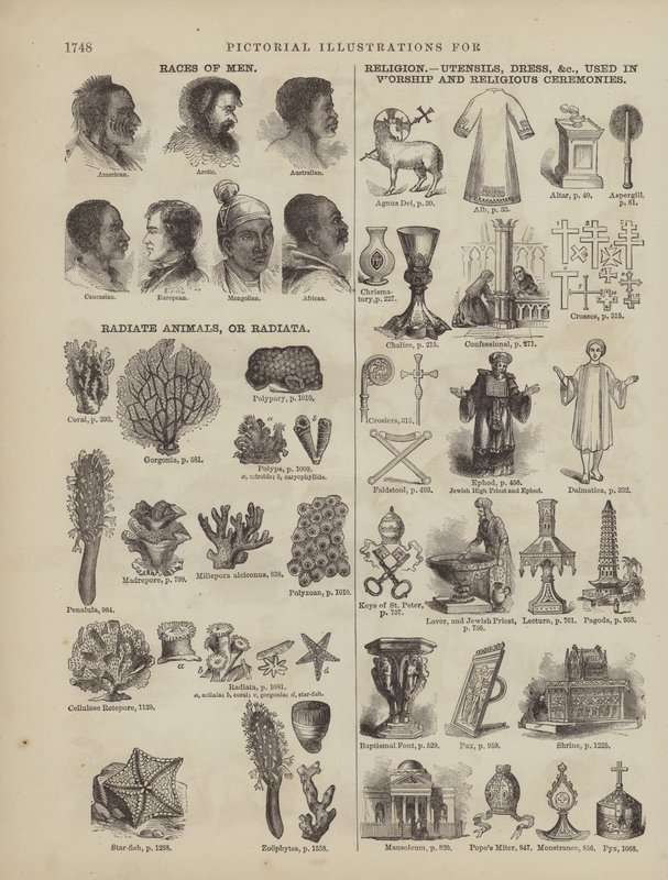 Pagina dal Dizionario Completo di Webster (George Bell) da American School