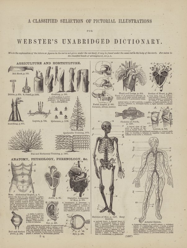 Pagina dal Dizionario Completo di Webster (George Bell) da American School