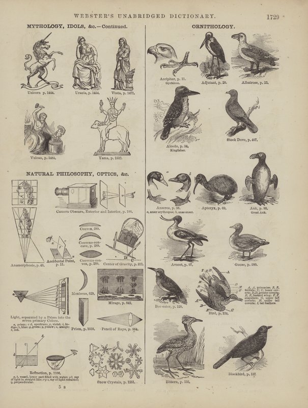 Pagina dal Dizionario Completo di Webster (George Bell) da American School