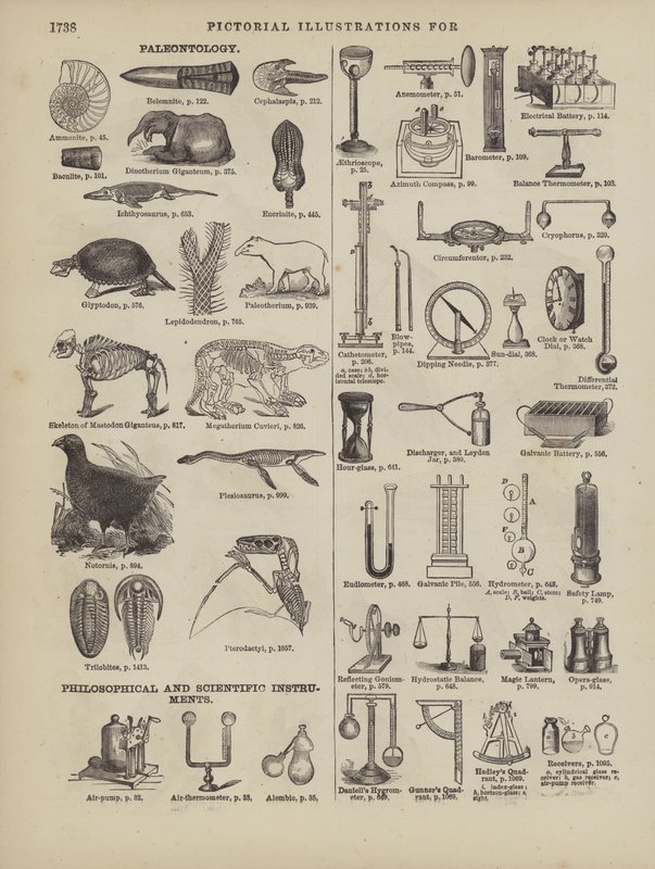 Pagina dal Dizionario Completo di Webster (George Bell) da American School