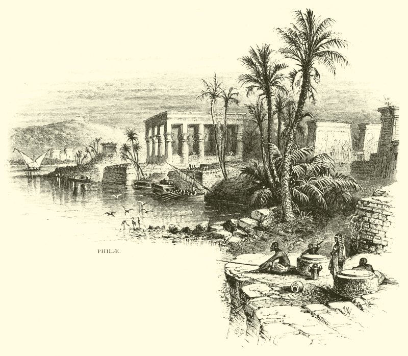 Philae da American School