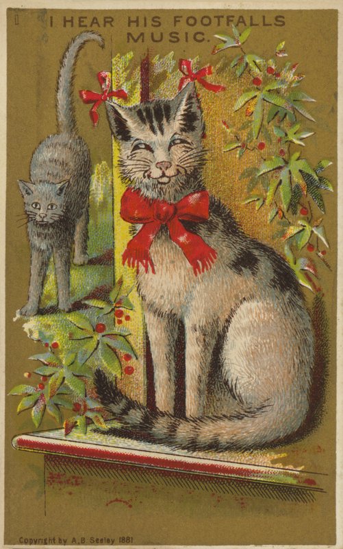 Gatto orgoglioso e sorridente da American School
