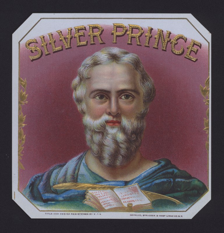 Silver Prince da American School