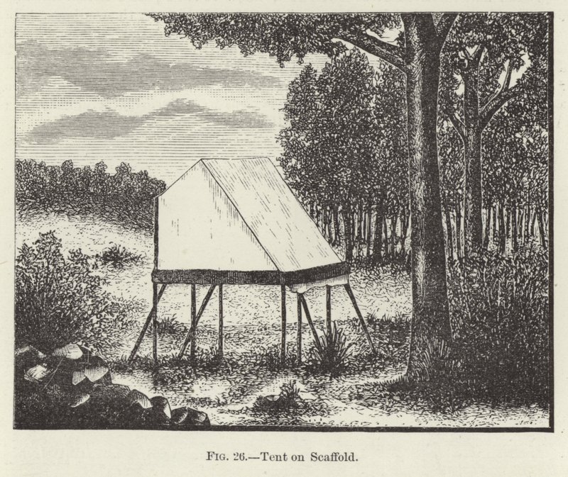 Tenda su impalcatura da American School