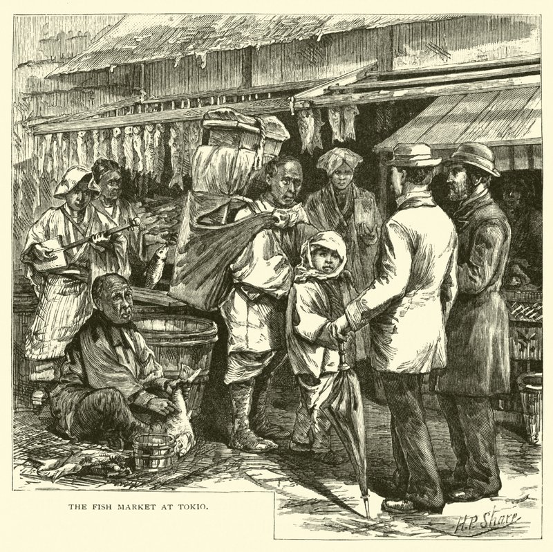 Il mercato del pesce a Tokyo da American School