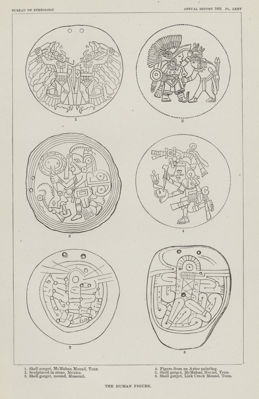 La Figura Umana da American School