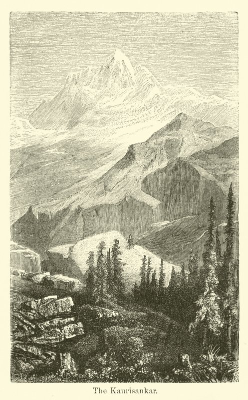 Il Kaurisankar da American School