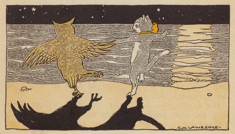 Il gufo e la gattina da American School