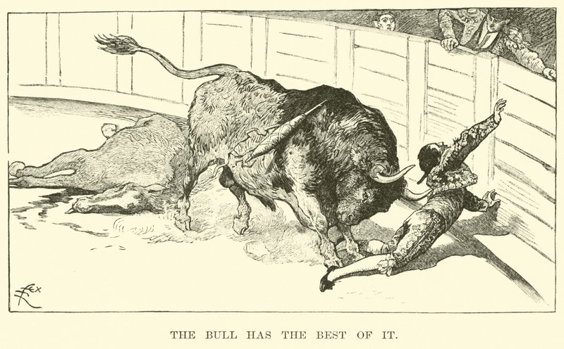 Il toro ha la meglio da American School
